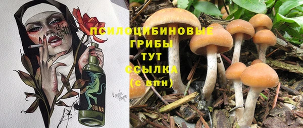 ГАЛЛЮЦИНОГЕННЫЕ ГРИБЫ Абинск