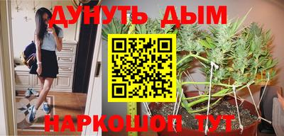 ГАЛЛЮЦИНОГЕННЫЕ ГРИБЫ Кинель