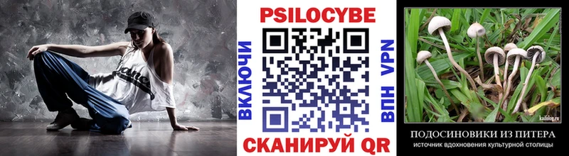 что такое   hydra   Галлюциногенные грибы Magic Shrooms  Ржев 