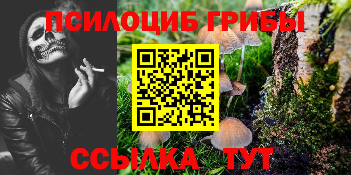 Галлюциногенные грибы мицелий  Вход с VPN  Ржев 