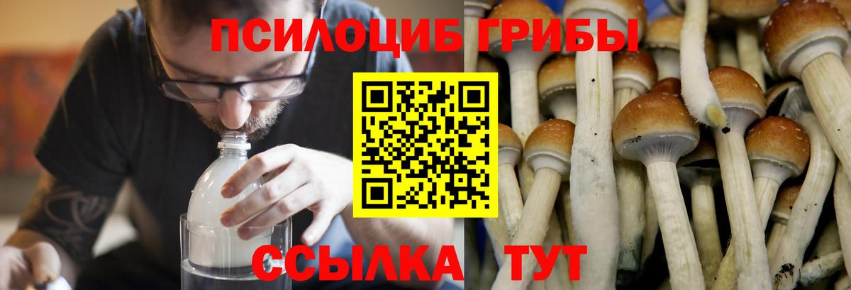 Псилоцибиновые грибы MAGIC MUSHROOMS Ржев