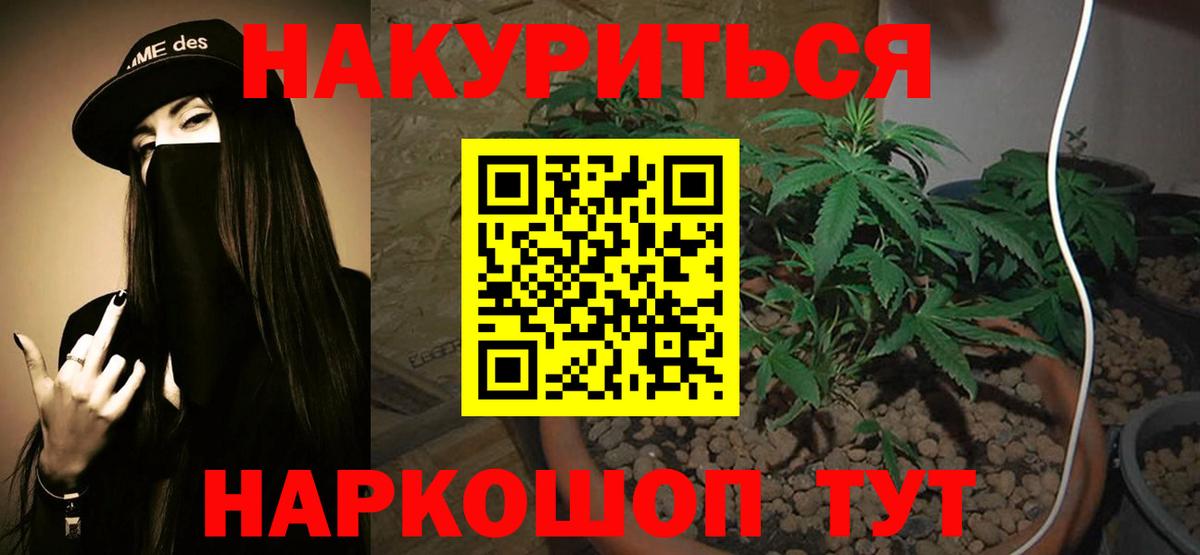 МАРИХУАНА сатива Ржев